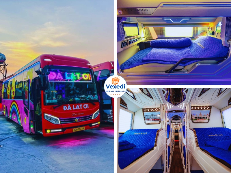 Xe Đà Lạt Ơi từ Sài Gòn đi Đà Lạt